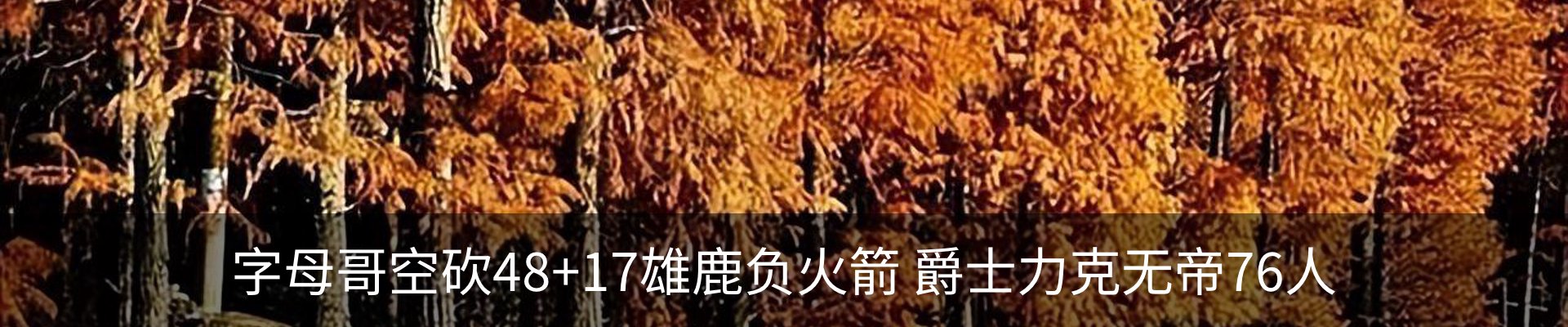 内页banner